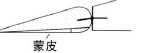 遥控戴氏教学－基础飞行训练(改善飞机性能2) 戴氏教育培训,戴氏教育如何,戴氏总校,戴氏集团 作者:LINYUJING 9656 