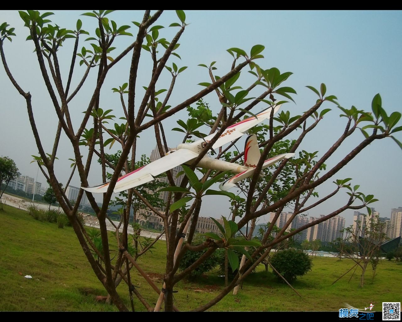 大运中心盲拍 龙岗大运中心,深圳大运中心,看图说话 作者:海浪 1055 