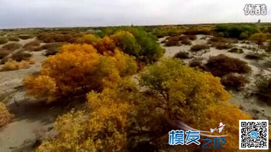 FPV · 西北 · 荒漠 · 风沙 · 胡杨木 ·随尘 FPV,出风沙是什么,风沙起什么歌,风沙的意思,荒漠和沙漠 作者:fmaytmp 4463 