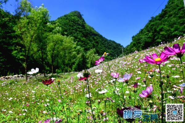 云贵高原深处飞场 云贵高原,花的世界,迄今为止,平方公里,姹紫嫣红 作者:老水牛 4322 