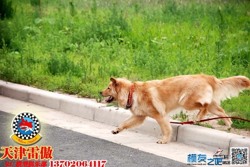 享受6月的最后一天，阴凉的飞行日！2013.6.30天津雷傲俱乐.. 天津 作者:茶茶 1646 