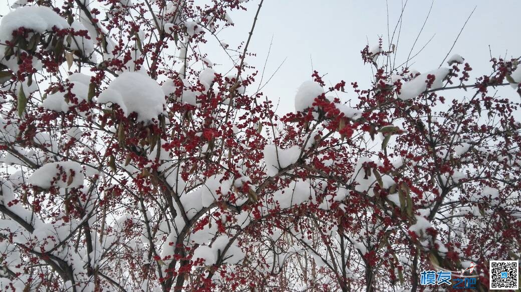 【Teabus】在避暑山庄～雪中飞 承德避暑山庄,避暑山庄,踏雪而来,银装素裹,神交已久 作者:飞天狼 7050 