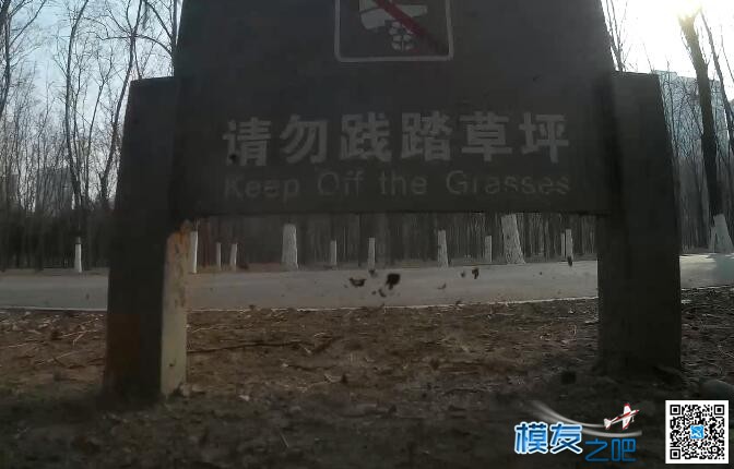 【北京FPV穿越日记七 《贴地飞》】多种树林一镜穿越练习 北京,日记 作者:yyyyy34 5600 