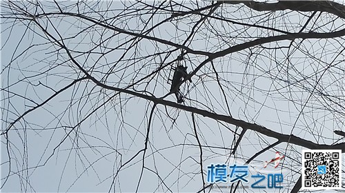 【拆机】龙云250之大卸八块(6楼更新上树炸鸡图） 穿越机,遥控器,dji 作者:轻骑兵 2305 