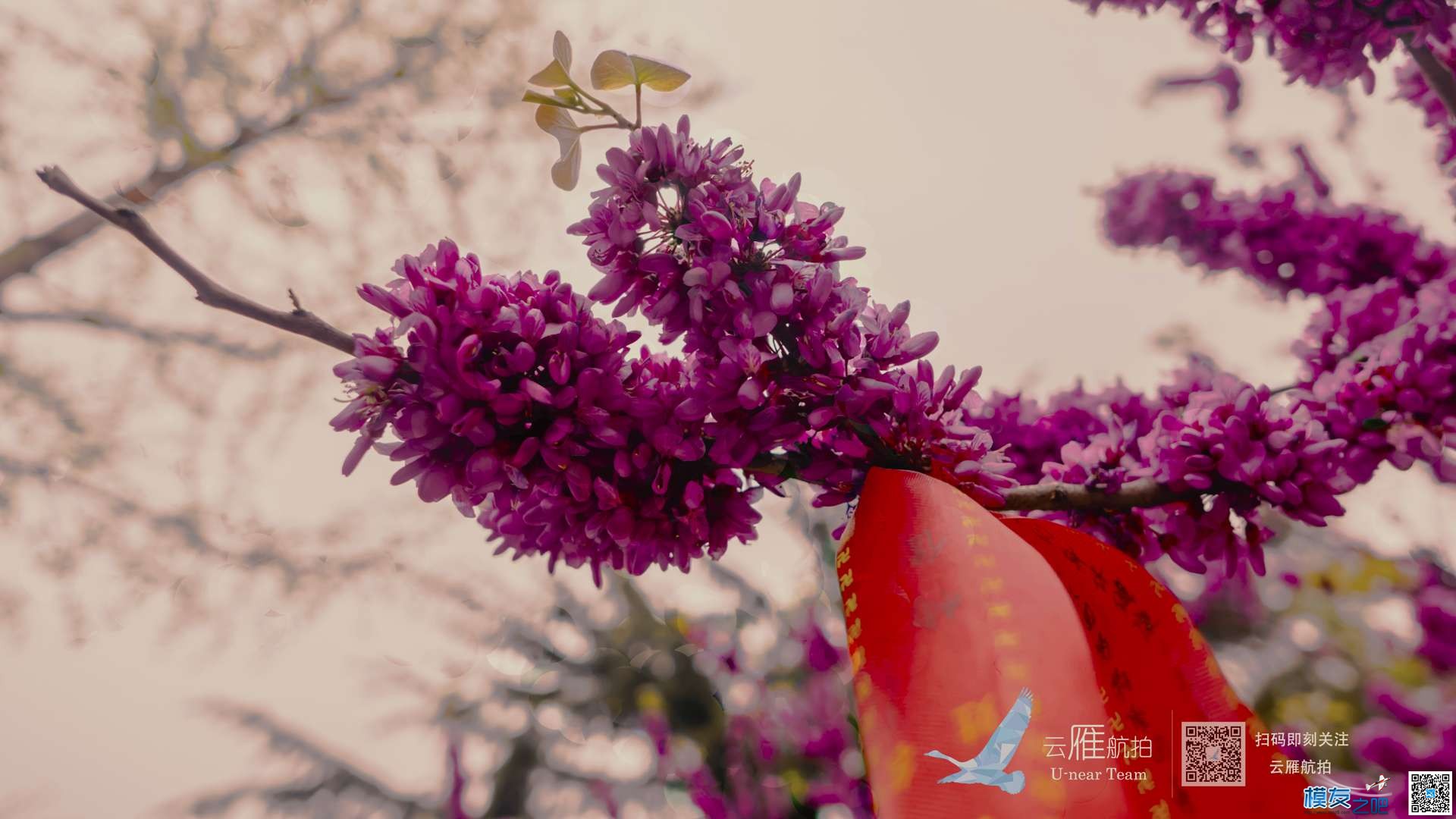 飞手张泽雨林：初期的航拍团队怎么快速积累订单？ 无人机,航模,多旋翼,固定翼,电池 作者:wx_dTOFc8hC 8127 