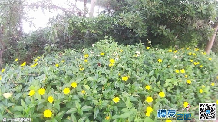 美丽夏天，勇士带你去看花 带勇士的电影 作者:雄迈商城 1590 