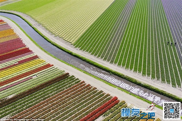 上帝的视角看世界 里约热内卢,马来西亚,保加利亚,塞浦路斯,墨西哥 作者:蓝天2.0 9130 