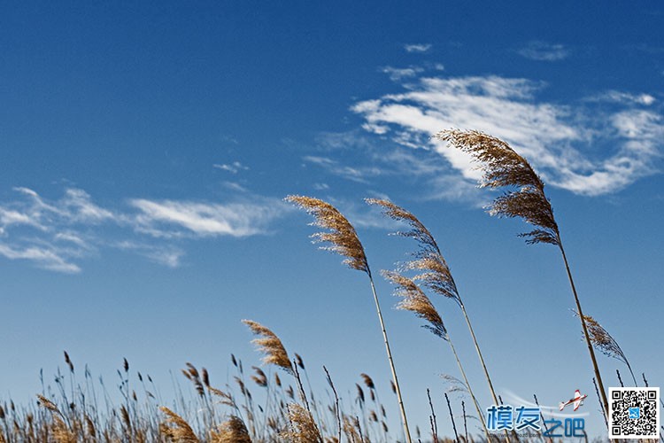 飞手应注意的5种天气 附实用天气查询方法 天气查询 作者:@芋头 5632 