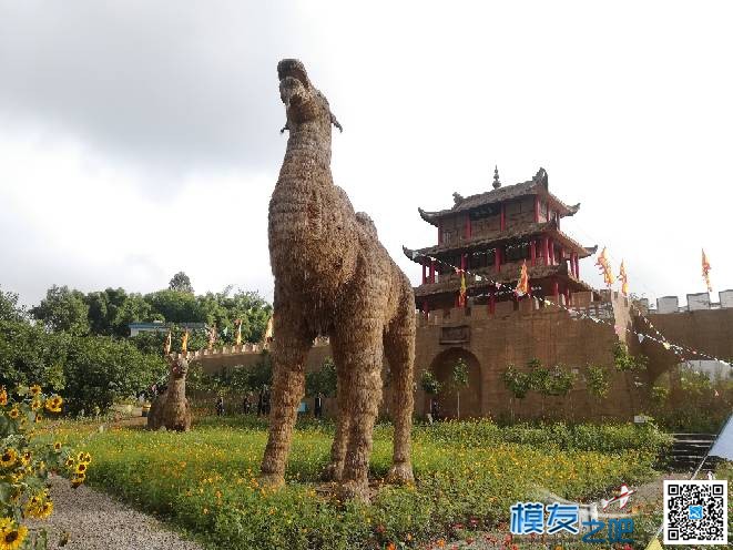 明天又可以飞了 明天飞机正常,明天飞韩国,明天飞日本,明天飞 作者:自贡老赵 5609 