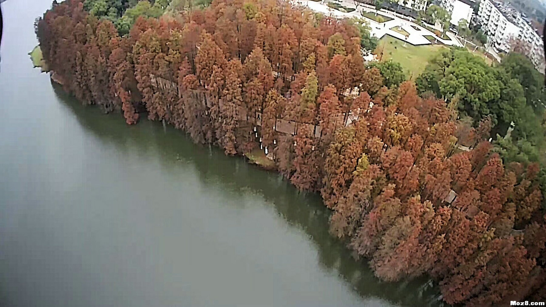 来几张湖边的风景 一张风景图片 作者:changchieh 452 